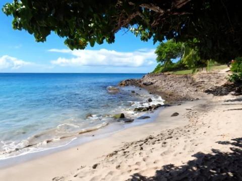 Pierre & Vacances Antigua 03 サント・リュス エクステリア 写真